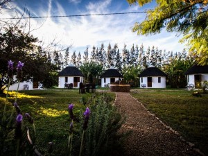 The Aardvark Guest House