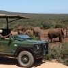 Zuurberg-Inn Game Drive