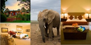 Belmont Country House Addo