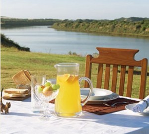 Happy Jackal Guest House